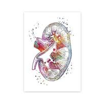 Anatomija Organai Širdis Kepenys Plaučiai Inkstai Smegenys Medicina Plakatas ir Spaudiniai Sienų menas Drobės Tapyba Paveikslai Kambariui Namų Dekorui 60x90cm No Framed