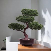 Dirbtinis bonsai medis vazoninis augalas Dekoracija Tvirtas stalo eksponatas Daugiafunkcis dekoratyvinis terasos palangei