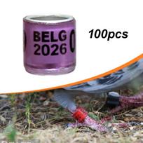 100 aliuminio identifikavimo žiedų balandžiams, karveliams, kanarėlėms, meilės paukšteliams ir putpelėms (2026 m). Purple Belgium gray