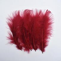 50 vnt. / Daug Spalvingi Kalakuto Plunksnos Rankdarbiams Marabou Plunksnos Dekoravimui 4 -7  10 -16cm Siuvinėjimo Aksesuarai Pasidaryk Pats Dekoras Plunksna pink
