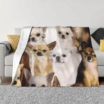 Čihuahua Mesti pledas Minkštos lovos šilta žiema Prabangus Storas Šiltas Prabangus Dizainerio pledai# 75X95CM pilka spalva