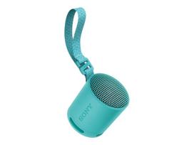 SONY SRS-XB100 Speaker Blue