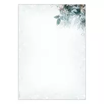 SIGEL Kalėdinis laiško popierius Eucalyptus Magic A4 90 g/m² 100 lapų