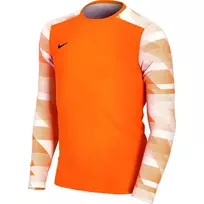 Nike Dry Park IV JSY LS GK Junior vartininko džemperis oranžinis CJ6072 819 XS
