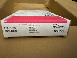 Rašalas Epson T6063 C13T606300