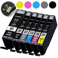 Rašalo kasetės rinkinys Canon PGI-450 CLI-451, tinka MG5440