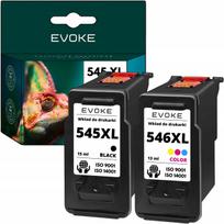 Rašalo kasetės PG545 CL546 XL, tinka Canon iP2850, MG2450, MG2455, MG2550, MG2950, TS3350, TS3450