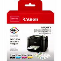 Rašalo kasetė Canon PGI-2500, 9290B004, rinkinys