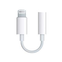 Laidas adapteris Lightning kištukas - 3.5mm lizdas 0.1m