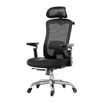 Huanuo HNOFC48 Office Chair