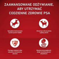 Purina ONE MINI Dog Adult Beef  AND amp; Rice 1.5kg