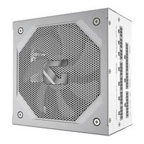 GIGABYTE GAMING 1000GM PG5 ICE Power Supply Unit - PCIe 5.1, 80 PLUS Gold, Fully Modular Design, 135mm Fan, ATX 3.1 compatible, EU Plug