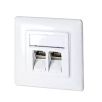 DSIT Keystone Faceplate, balta (DC-Wall-Key-W)