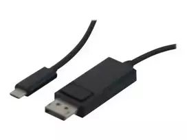 EXERTIS CONNECT USB 3.2 Type-C į DisplayPort 1.2 adapterio kabelis, 1,0 m 127549