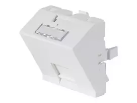 Dexlan priekinės plokštės įdėklas 45 x 45 mm 1 Keystone moduliui, 30°, signalinė balta RAL 9003 (911712)