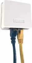 IT-BUDGET Cat.6A UTP paviršinio montavimo tinklo lizdas, 2 x RJ45, grynai balta, horizontalus kabelio įvedimas, PoE+ 90ITBDDAPE