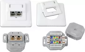Wirewin DD-TRIO-K5E UP2 WS Cat5e ekranuotas įleidžiamas duomenų lizdas, 2x RJ45, LSA, grynai balta