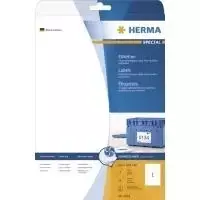 HERMA Special 4824 nuolatinės lipniosios matinės dengtos failų segtuvų nugarėlių etiketės, baltos, A4, 25 lapai, 100 etikečių