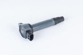 Ritė, uždegimas BorgWarner (BERU) ZSE207