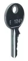 Hager FZ596 Ryšių skirstytuvas su 4x Cat6 RJ45 prievadais ir TV skirstytuvu