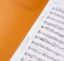 BRUNNEN FACT! Segtuvas A4 PP Oranžinis 150 Lapų Metalinis Segtuvas
