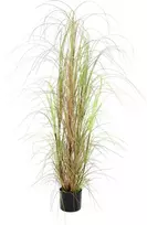 EUROPALMS Dirbtinė žolės krūmas, 150cm, žalias, dekoracija patalpoms 82600127