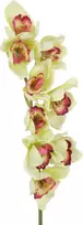 EUROPALMS Dirbtinė Cymbidium orchidėjos šakelė, žalia, 90cm 82530313