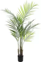 EUROPALMS Areca Palm Dirbtinis Augalas, 125cm 82509440