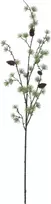 EUROPALMS Dirbtinė maumedžio šaka, PE, 100 cm 83500418