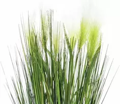 EUROPALMS Feather Grass dirbtinis augalas, baltas, 60cm 82505864