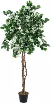 EUROPALMS Bougainvillea dirbtinis augalas, baltas, 180 cm 82507086