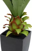 EUROPALMS Agave vazonėlyje, dirbtinis augalas, 75cm 82600160