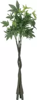 EUROPALMS dirbtinis Pachira pinigų medis, 160cm 82600165