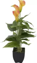 EUROPALMS Calla mini dirbtinis augalas, geltonai oranžinis, 43 cm 82540346