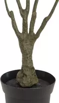 EUROPALMS dirbtinis dracenos augalas, žalias-raudonas, 90cm 82505778