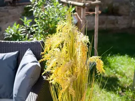 EUROPALMS dirbtinės nendrių žolės puokštė, 118 cm 82600136
