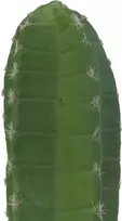 EUROPALMS Meksikietiškas kaktusas dirbtinis augalas, žalias, 97 cm 82801070