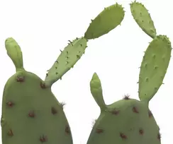 EUROPALMS Leaf Cactus Dirbtinis Augalas, 75cm 82600068