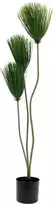 EUROPALMS Papyrus dirbtinis augalas, 100 cm 82600234