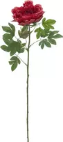 EUROPALMS Classic bijūno šakelė dirbtinis augalas, magenta, 80cm 82530211