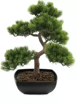 EUROPALMS Bonsai Pine dirbtinis augalas, 50 cm 82600110
