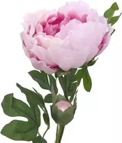 EUROPALMS Peony Branch Classic, dirbtinis augalas, rožinis, 80cm 82530210