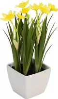 EUROPALMS dirbtinis narcizas, 23 cm 82530542