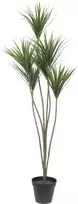 EUROPALMS Yucca Palm dirbtinis augalas, 130cm 82511552
