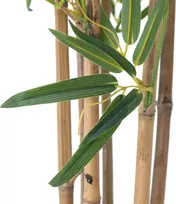 EUROPALMS Bambus deluxe, dirbtinis bambukas, 120cm (82509165)
