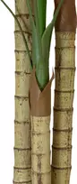 EUROPALMS Areca Palm, 3 kamienų, dirbtinis augalas, 150 cm 82509411