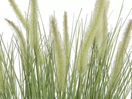 EUROPALMS dekoratyvinė dirbtinė žolė su žiedais, 70cm, balti žiedai, juodas vazonas 82600147