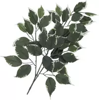 EUROPALMS dirbtinė fikuso šakelė, 12 vnt. rinkinys 82506100