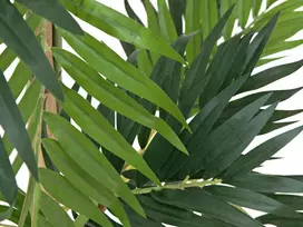EUROPALMS Parlour Palm dirbtinis augalas, 150cm 82509495
