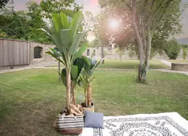 EUROPALMS dirbtinis bananų medis, 210cm, 18 tekstilės lapų, plastikinis kamienas ir vazonas, žalia/ruda/juoda 82509507